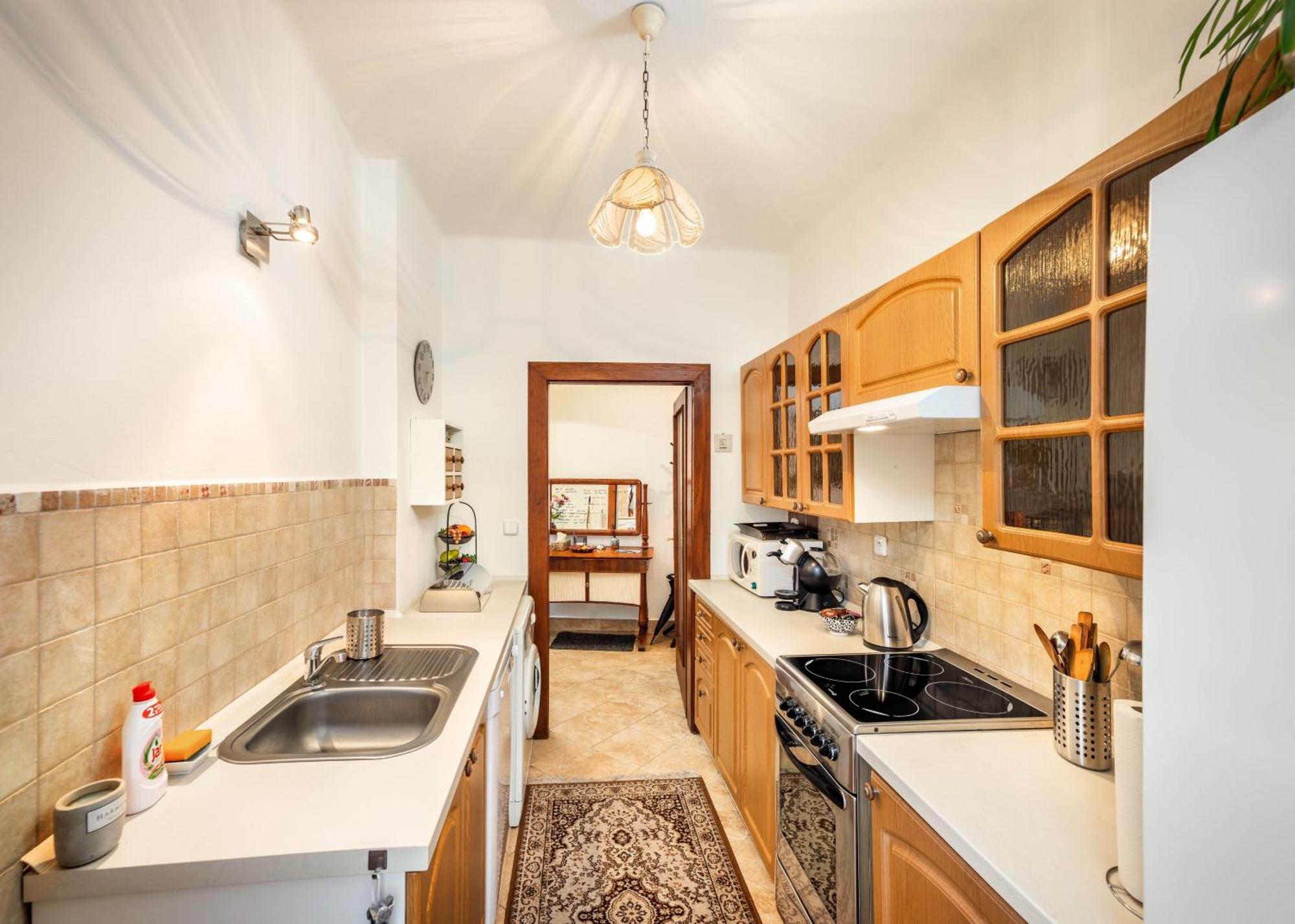 Apartment Dlouha 93